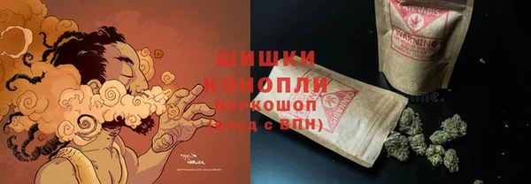 шишки Ессентукская