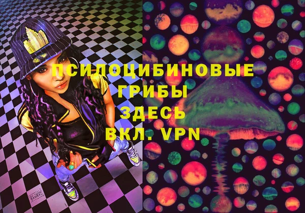 ешки Бердск