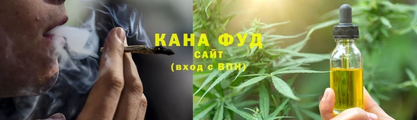 шишки Ессентукская