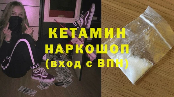 шишки Ессентукская