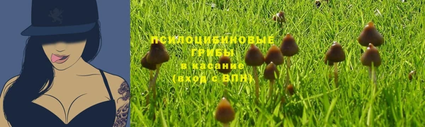 ешки Бердск
