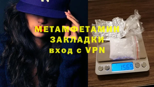 шишки Ессентукская