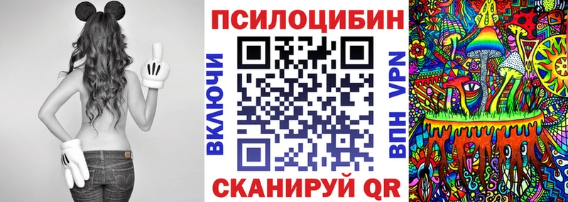 закладка  MEGA рабочий сайт  Псилоцибиновые грибы Psilocybine cubensis  Дрезна 